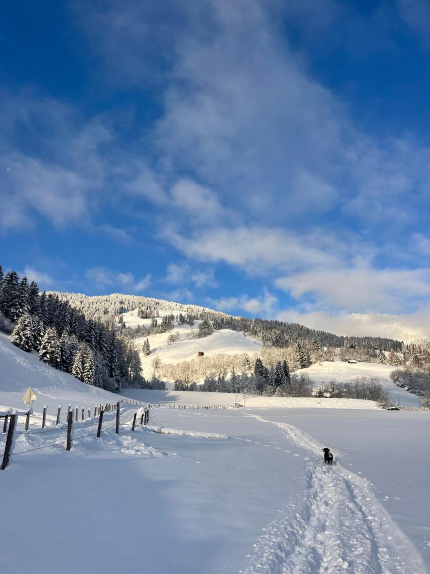 Gaestezimmer Peterbauer Dorfgastein Exterior foto