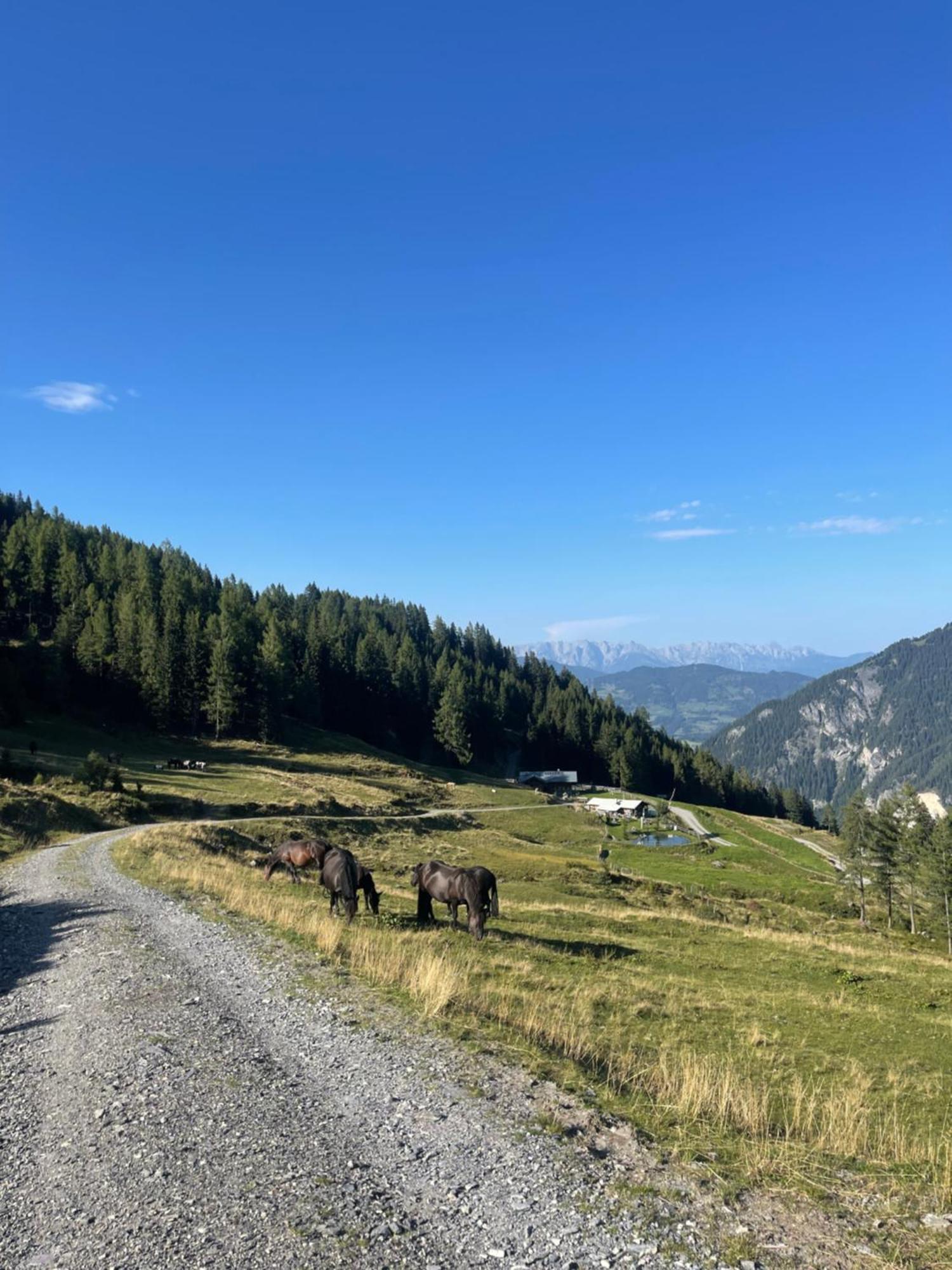 Gaestezimmer Peterbauer Dorfgastein Exterior foto